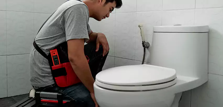 Toilet Repair in Albany