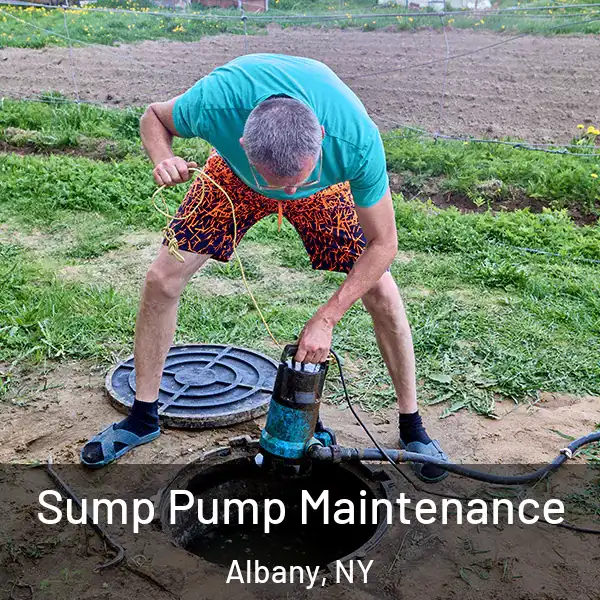  Sump Pump Maintenance Albany, NY
